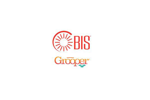 Bis Grooper