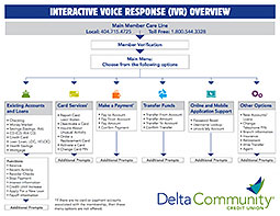 IVR Overview