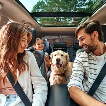 Family and dog in car
