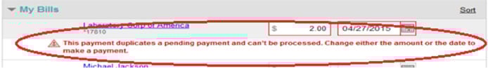 Duplicate Payment Error Message